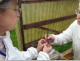 Zeichnen einer Knigin mit dem Stift